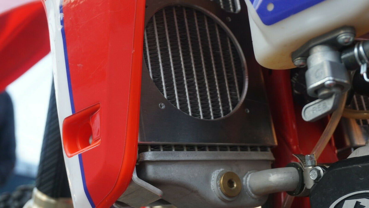 Beta RR Radiator guard 7